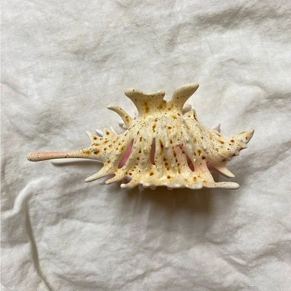 YVMIN Ripple / Conch Hair Claw original is available for  display picture 3